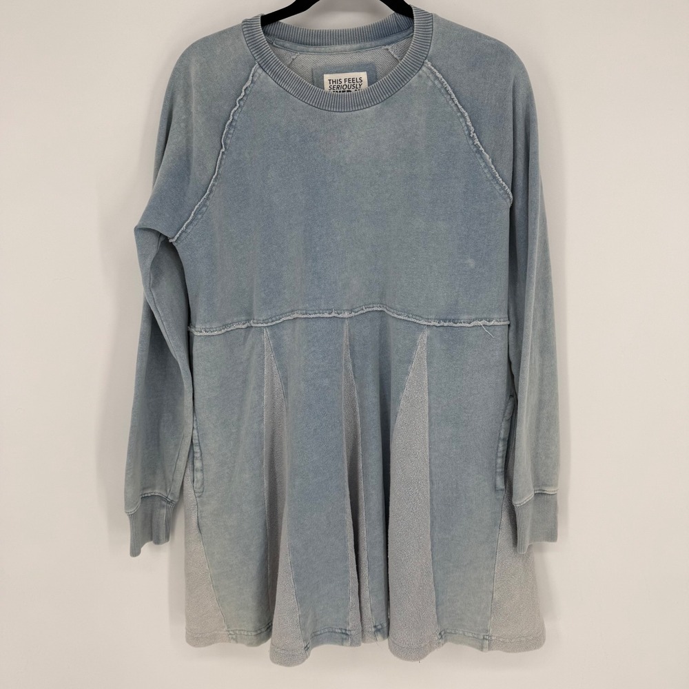 American Eagle Outfitters Light Blue Mini Dress Sweatshirt